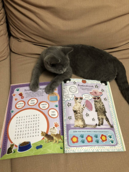 Мой милый котенок