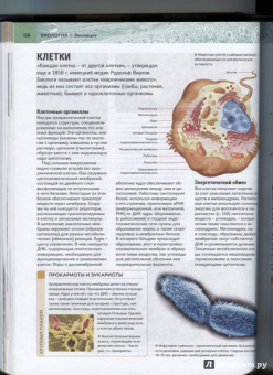 Настольная энциклопедия современного школьника