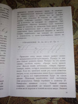 Д. Писаревский: Почерк. Каллиграфия. 113 практических упражнений