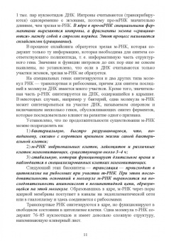 Лебедько, Катмаков, Бушов: Биотехнология в животноводстве. Учебник