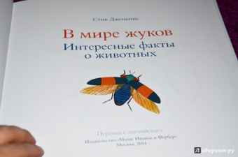 Стив Дженкинс: В мире жуков. Интересные факты о животных