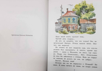 Владислав Крапивин: Дети синего фламинго
