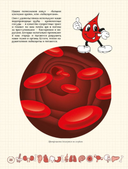 Ольга Соколова: Как устроен человек и зачем ему врачи?
