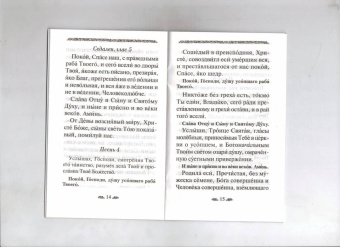 Канон о усопшем едином с чином литии, совершаемой мирянином дома и на кладбище