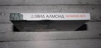 Дэвид Алмонд: Галчиное лето