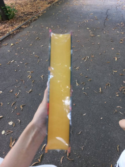 Дженнифер Арментроут: Корона из золотых костей