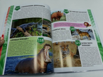 Тамара Скиба: Первая энциклопедия для мальчиков и девочек. 300 вопросов - 300 ответов