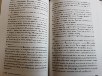 Донато Карризи: Девушка в лабиринте