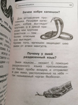 Андрей Кузечкин: 1000 отчего и почему обо всем на свете