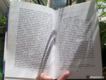 Халед Хоссейни: И эхо летит по горам