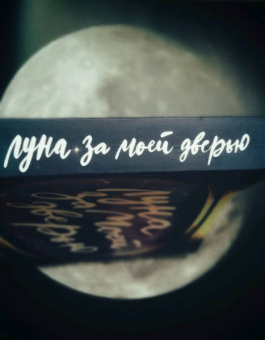 Мюриэль Цюрхер: Луна за моей дверью