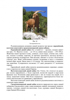 Лебедько, Танана, Климов: Разведение и селекция сельскохозяйственных животных. Учебник