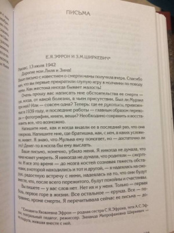 Эфрон, Эфрон: Два крыла. Марина Цветаева глазами ее детей
