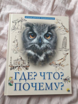 Людмила Соколова: Что? Где? Почему?