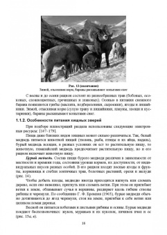 Анатолий Суворов: Основы полевых наблюдений. Следы жизнедеятельности зверей и птиц. Учебник для СПО