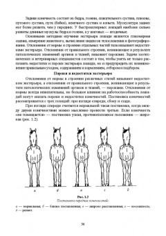 Кузнецов, Тюрин, Семенов: Лошадь. Разведение, содержание, уход, кормление. Учебное пособие для СПО