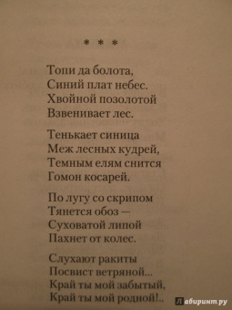 Сергей Есенин: Я московский озорной гуляка