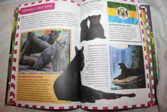 Джунгли. Животные и птицы