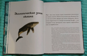 Лавдэй Триник: Океанариум