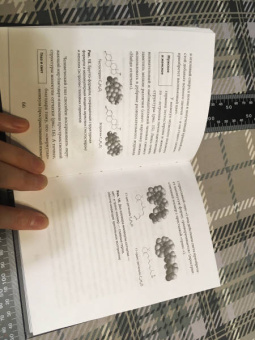 Бальцани, Вентури: Химия! Прочитать и дописать книгу природы