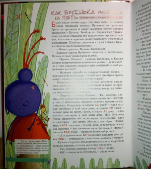 Константин Кохась: Как Бусенька что-то-там. Математические сказки