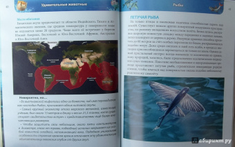 Ольга Тяжлова: Удивительные животные