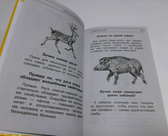 Андрей Кузечкин: 1000 отчего и почему обо всем на свете