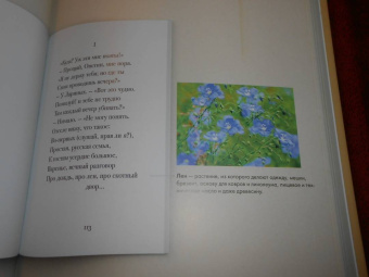 Пушкин, Рожников: Евгений Онегин. Подробный иллюстрированный комментарий