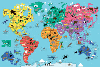 Жан-Мишель Бийу: Животные планеты. Интерактивная детская энциклопедия в коробке