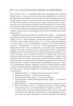 Михаил Пирадов: Неврологические орофациальные заболевания и синдромы. Руководство для врачей