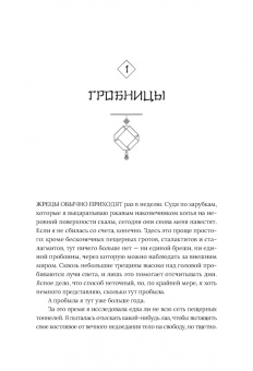 Леа Рейн: Гора духов. Книга 1. Чёрный восход