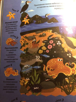 Мэтью Скотт: Ныряй в океан!