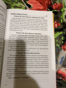Галина Сергеева: Полезные напитки - от кваса до наливки