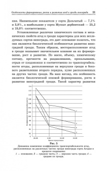 Магомедмирза Магомедов: Виноград. Основы технологии хранения. Учебное пособие
