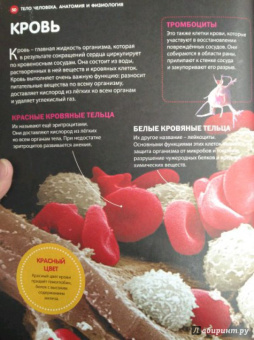 Как устроен человек. Энциклопедия для детей