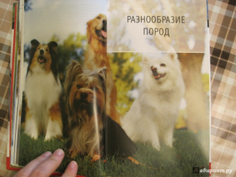 Брюс Фогл: Собаки. Полная энциклопедия