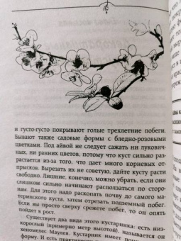 Галина Кизима: Неприхотливый цветник. Правила и советы для начинающих