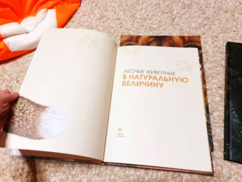 Хольгер Хааг: Лесные животные в натуральную величину