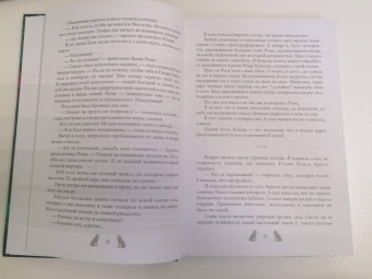 Сильвия Лайм: Академия Арктур. Невеста Волка