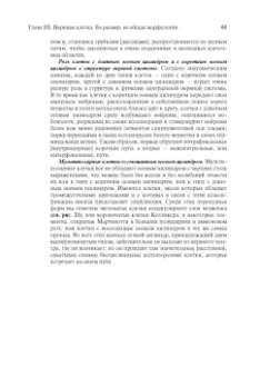 Сантьяго Рамон-и-Кахаль: Гистология нервной системы человека и позвоночных