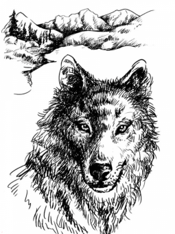 Джеймс Кервуд: Казан