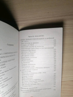 Лев Троцкий: Литература и революция