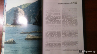 Михаил Жилин: Птичьи базары