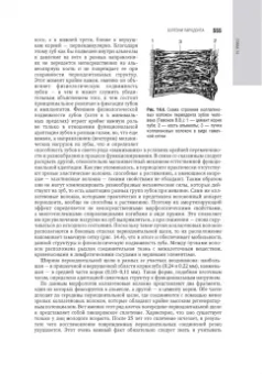 Янушевич, Дмитриева, Ревазова: Терапевтическая стоматология. Национальное руководство