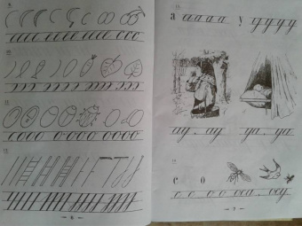 Всеволод Флеров: Наглядные уроки письма
