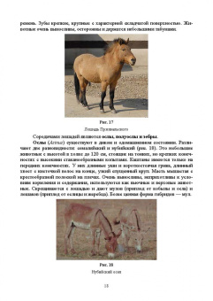 Лебедько, Танана, Климов: Разведение и селекция сельскохозяйственных животных. Учебник