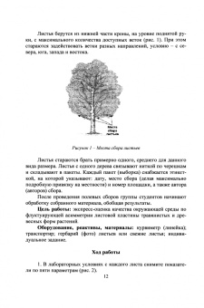 Ирина Коротченко: Экология и рациональное природопользование. Практикум