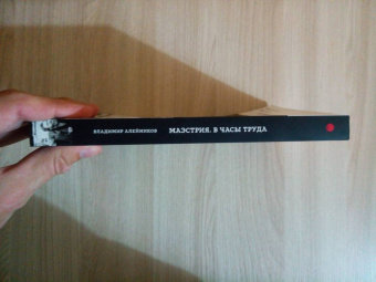Владимир Алейников: Маэстрия. В часы труда