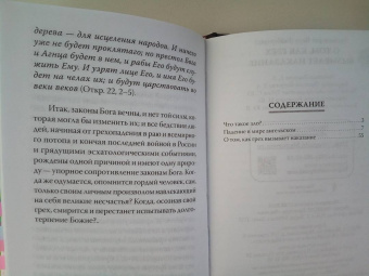 Наум Архимандрит: О том, как грех вызывает наказание