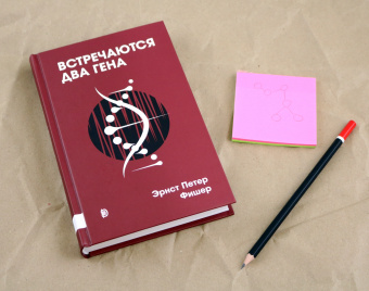 Эрнст Фишер: Встречаются два гена. Что такое гены и как они влияют на нашу жизнь?